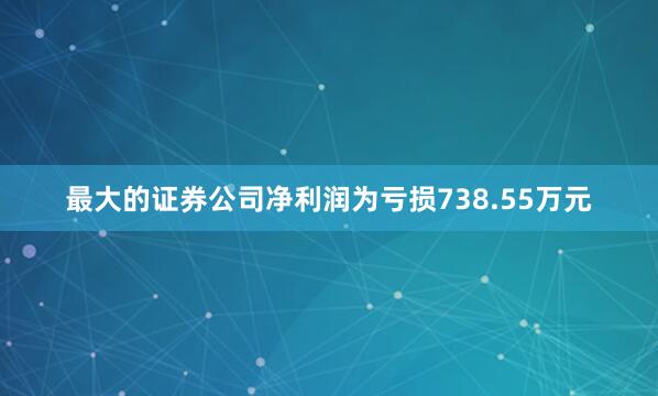 最大的证券公司净利润为亏损738.55万元