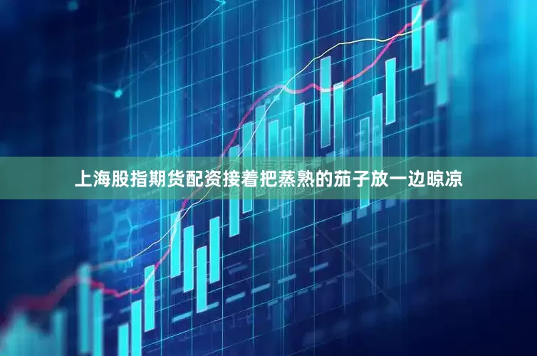 上海股指期货配资接着把蒸熟的茄子放一边晾凉